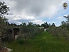 Sahibinden.com