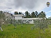 Sahibinden.com