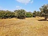 Satılık Arsa