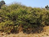 Satılık Arsa