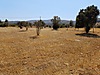Muğla Satılık Arsa