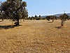 Satılık Arsa İlanları