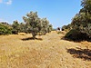 Emlak / Arsa / Satılık