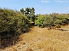 Satılık Arsa Fiyatları