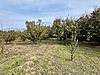 Sahibinden.com