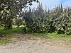 Sahibinden.com