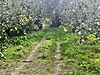 Sahibinden.com