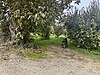 Sahibinden.com