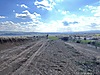 Sahibinden.com