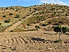 AK EMLAK'tan YENİPAZAR ZİRVEDE İÇİNDE EVİ OLAN TERASLI İNCİRLİK - Satılık Arsa İlanları sahibinden.com'da