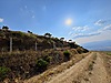 AK EMLAK'tan YENİPAZAR ZİRVEDE İÇİNDE EVİ OLAN TERASLI İNCİRLİK - Satılık Arsa İlanları sahibinden.com'da