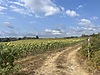 Sahibinden.com