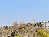 Sahibinden.com