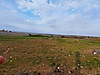 Sahibinden.com