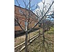 Sahibinden.com