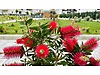 Sahibinden.com