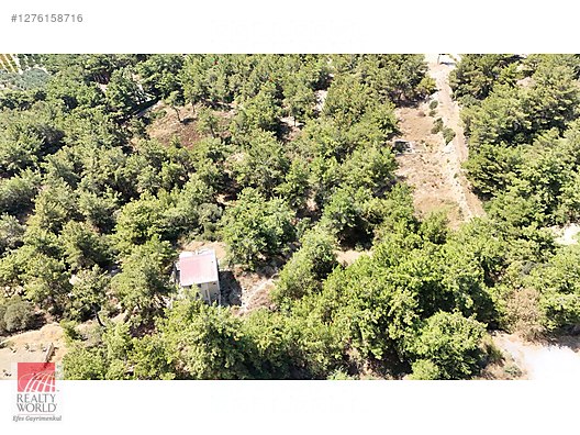 KUŞADASI SOĞUCAKTA SATILIK ARSA - Satılık Arsa İlanları sahibinden.com'da