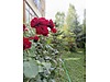 Sahibinden.com