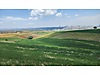 Sahibinden.com