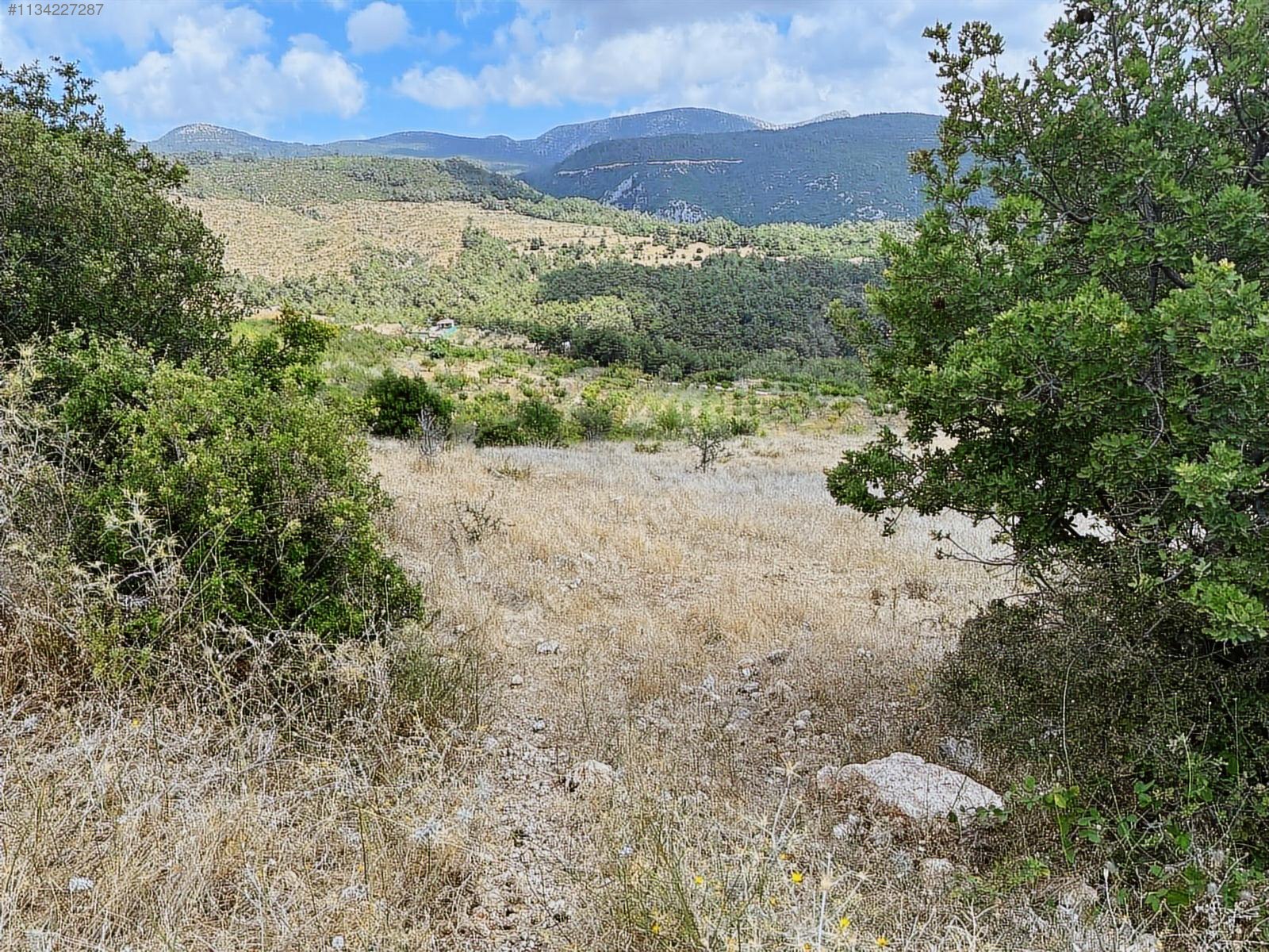 TEK TAPU MÜSTAKİL PARSEL Satılık Arsa İlanları sahibinden da