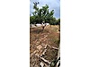 Sahibinden.com