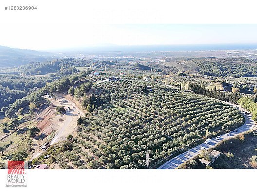 Emlak / Arsa / Satılık