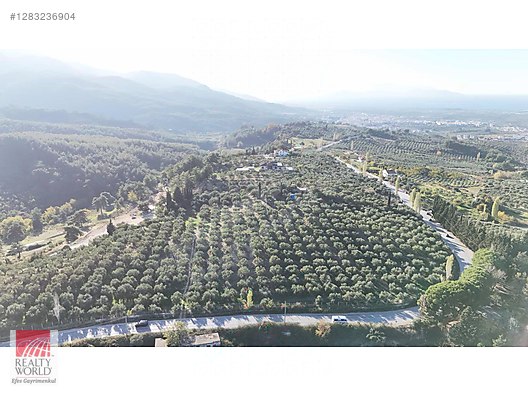 Aydın Satılık Arsa