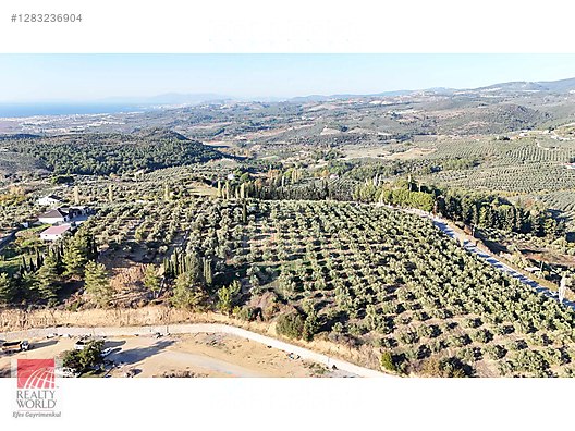 Satılık Arsa Fiyatları