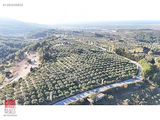 REALTY WORLD EFES'TEN DAVUTLARDA DENİZ MANZARALI 10 DÖNÜM TARLA - Satılık Arsa İlanları sahibinden.com'da