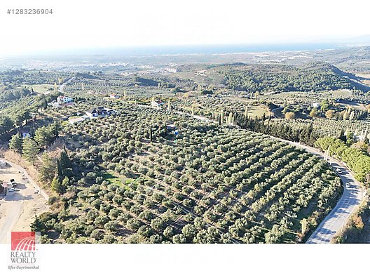 Satılık Arsa Fiyatları