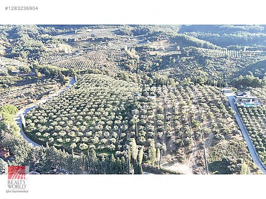 Davutlar Satılık Arsa