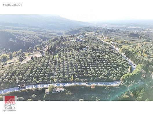 Emlak / Arsa / Satılık