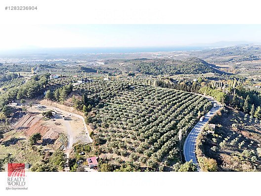 REALTY WORLD EFES'TEN DAVUTLARDA DENİZ MANZARALI 10 DÖNÜM TARLA - Satılık Arsa İlanları sahibinden.com'da