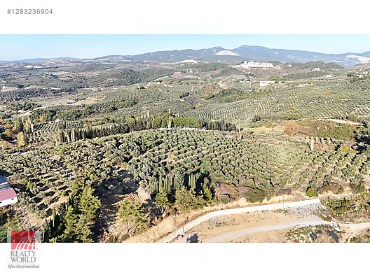 Satılık Arsa İlanları