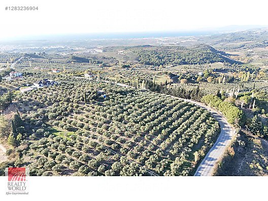 Satılık Arsa İlanları