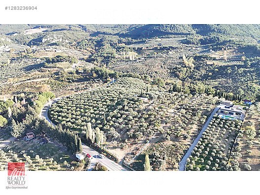 Davutlar Satılık Arsa