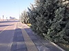Emlak / Konut / Satılık / Daire