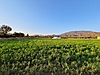 Kuyucak Satılık Arsa