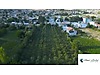 Sahibinden.com