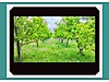 Sahibinden.com