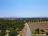 Satılık Arsa İlanları