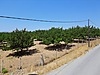Emlak / Arsa / Satılık