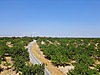 Tarla + Bağ imarlı arsa