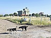 Sahibinden.com