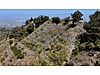 SALİHLİ ALLAHDİYEN MAHALLESİ SATILIK 3650 M2 CEVİZ BAHÇESİ - Satılık Arsa İlanları sahibinden.com'da