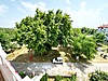 ꔪREKORDAN İKİZÇAYDA ÇİFT CEPHE AYRI MUTFAKLI 3+1 LÜXYAPILI DAİRE - Satılık Daire İlanları sahibinden.com'da