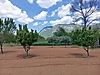 Sahibinden.com