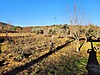 Sahibinden.com