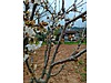 Sahibinden.com