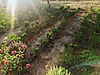 Sahibinden.com